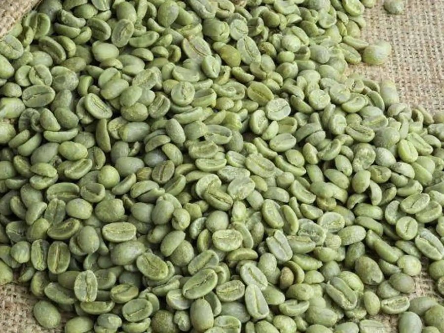 The Married Beans — Yellow Cherry Natural Cầu Đất (nhân xanh) 500g