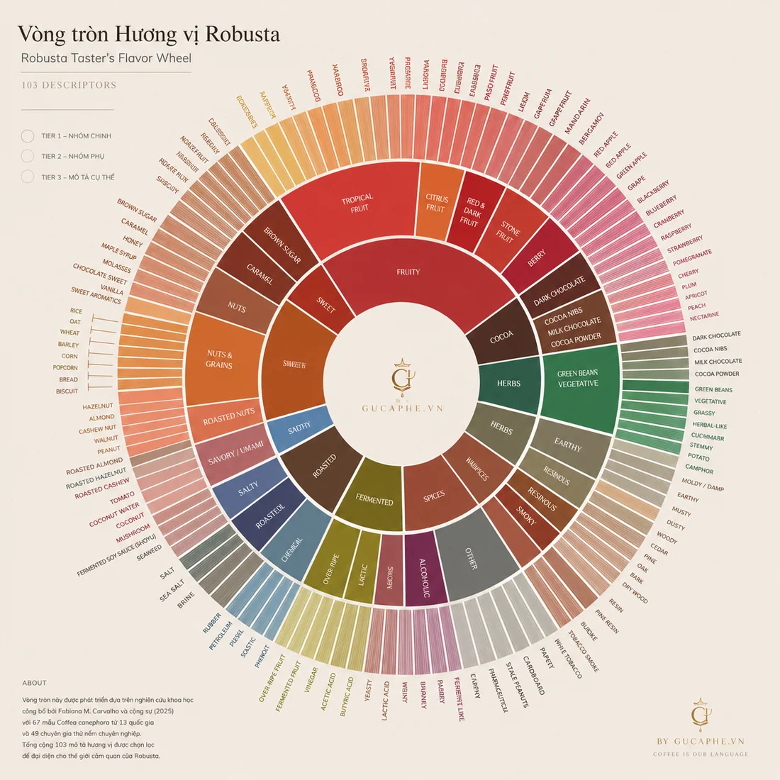 Robusta có 103 cách để nói về hương vị: Vòng tròn hương vị Canephora 2025 và câu chuyện của Lâm Đồng